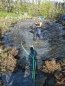 Teichentschlammung, Teich  gross bis 30 qm mit Pflanzenbewuchs und Fische