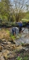 Teichentschlammung, Teich klein bis 10 qm mit Pflanzen und Fische