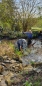 Teichentschlammung, Teich  gross bis 30 qm mit starken Pflanzenbewuchs und Fische