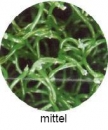 Matala-Filter- Matten, medium, grün 120 x 100 cm ( 58.34 € / qm )